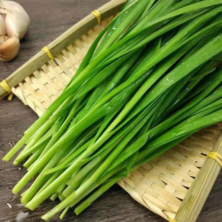 韭菜