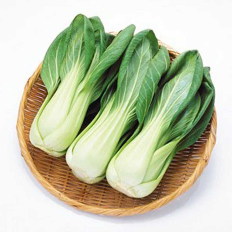 上(shàng)海(hǎi)青