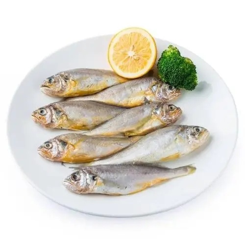 小(xiǎo)黃(huáng)魚