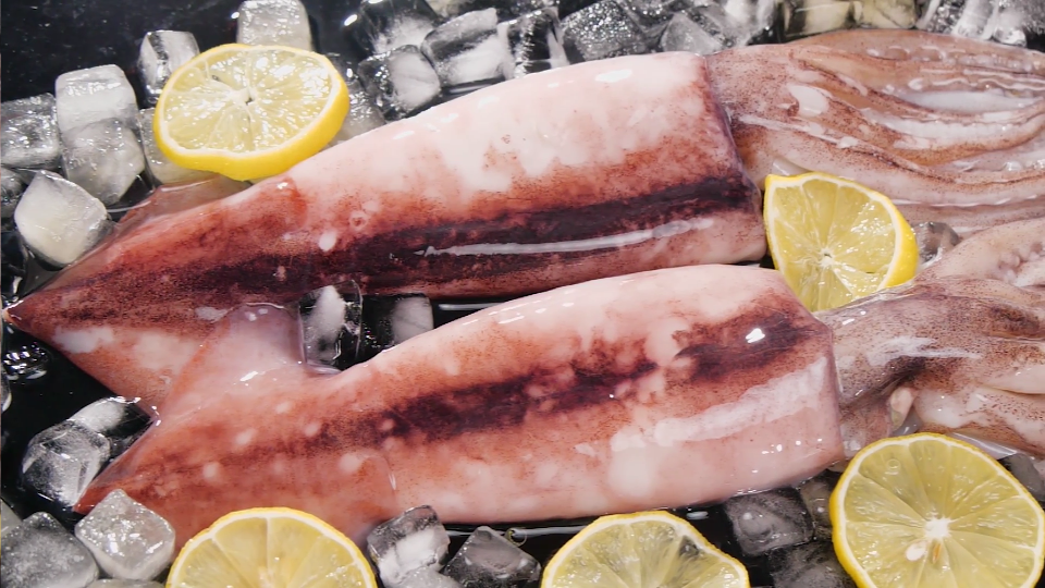 視(shì)頻(pín)标題