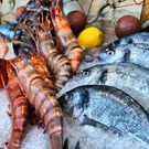 水(shuǐ)産海(hǎi)鮮